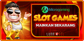 MICRO GAMING